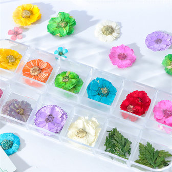 Mix Gedroogde bloemen Nageldecoratie Sieraden Natuurlijke bloemen Bladstickers 3D-nailart-ontwerpen Polish manicure-accessoires