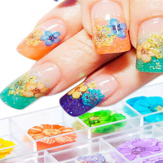 Mix Gedroogde bloemen Nageldecoratie Sieraden Natuurlijke bloemen Bladstickers 3D-nailart-ontwerpen Polish manicure-accessoires