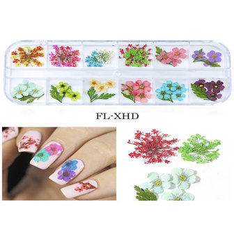 Mix Gedroogde bloemen Nageldecoratie Sieraden Natuurlijke bloemen Bladstickers 3D-nailart-ontwerpen Polish manicure-accessoires