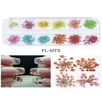 Mix Gedroogde bloemen Nageldecoratie Sieraden Natuurlijke bloemen Bladstickers 3D-nailart-ontwerpen Polish manicure-accessoires