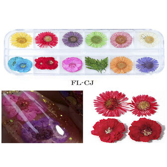 Mix Gedroogde bloemen Nageldecoratie Sieraden Natuurlijke bloemen Bladstickers 3D-nailart-ontwerpen Polish manicure-accessoires