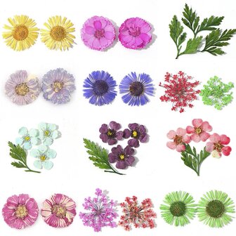 Mix Gedroogde bloemen Nageldecoratie Sieraden Natuurlijke bloemen Bladstickers 3D-nailart-ontwerpen Polish manicure-accessoires