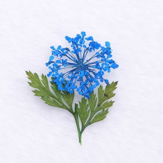 Mix Gedroogde bloemen Nageldecoratie Sieraden Natuurlijke bloemen Bladstickers 3D-nailart-ontwerpen Polish manicure-accessoires