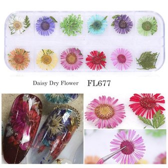 Mix Gedroogde bloemen Nageldecoratie Sieraden Natuurlijke bloemen Bladstickers 3D-nailart-ontwerpen Polish manicure-accessoires