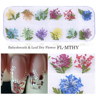 Mix Gedroogde bloemen Nageldecoratie Sieraden Natuurlijke bloemen Bladstickers 3D-nailart-ontwerpen Polish manicure-accessoires