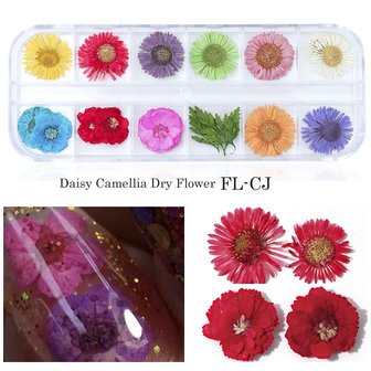 Mix Gedroogde bloemen Nageldecoratie Sieraden Natuurlijke bloemen Bladstickers 3D-nailart-ontwerpen Polish manicure-accessoires