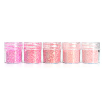 5 Pot / Set Roze Glitter Oogschaduw Chunky Holographic Nail Art Face Body