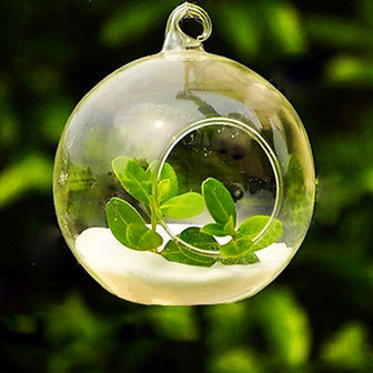 6st ronde glazen hangende kaars thee licht globe houder kandelaar partij thuis bruiloft decor 10cm