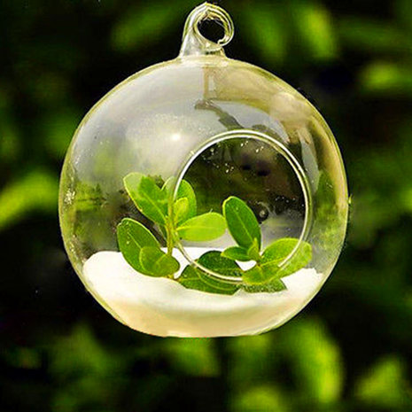 6st ronde glazen hangende kaars thee licht globe houder kandelaar partij thuis bruiloft decor 10cm